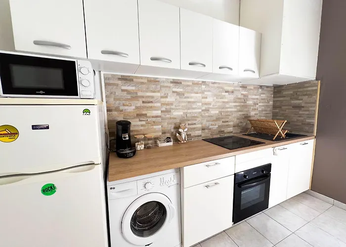 Cosy Studio Rez De Jardin Climatise